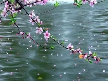 唯美古風(fēng)句子：最美人間四月天