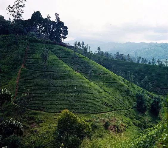 極簡東方韻味：兩款禪意中式裝修設(shè)計