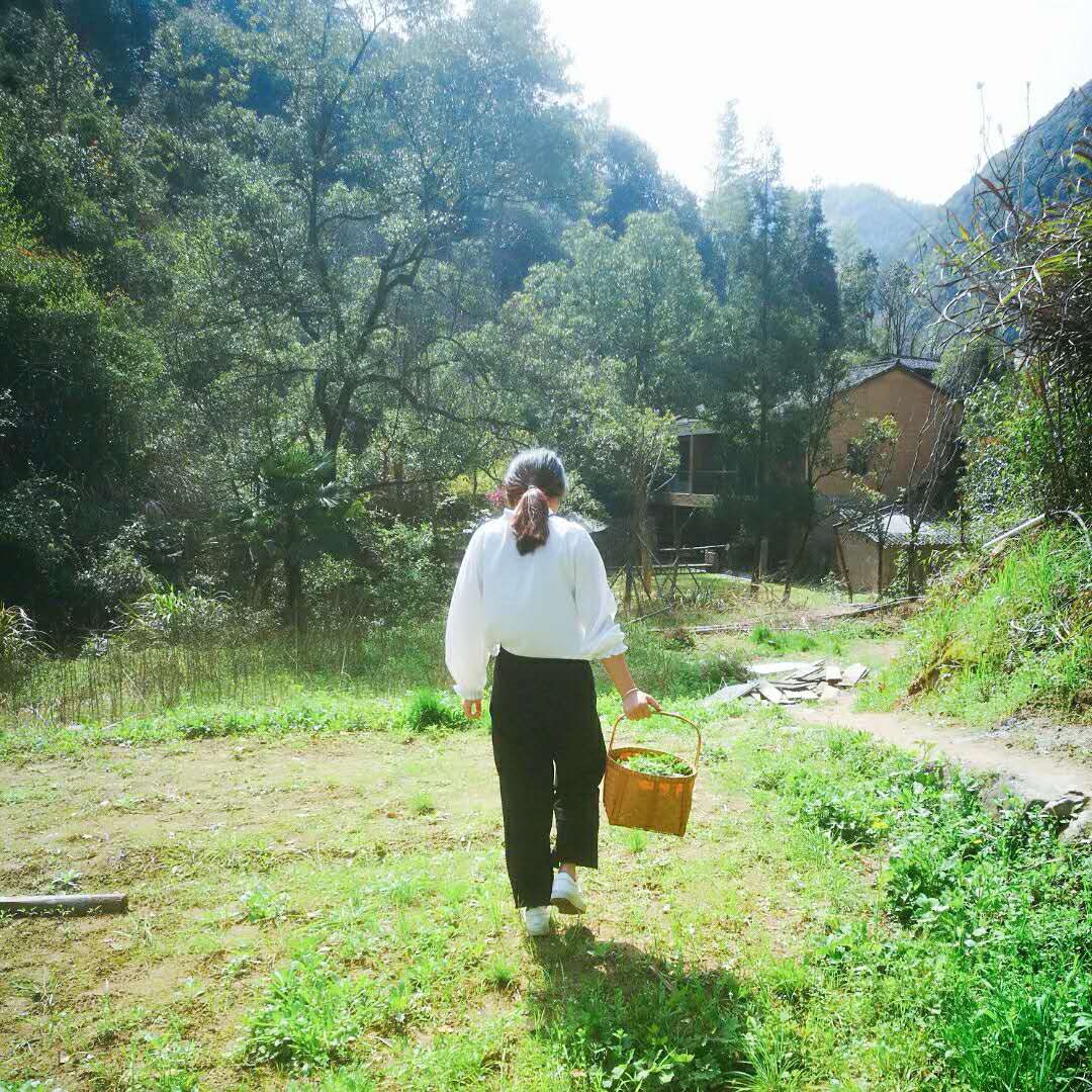 桐廬·水喜，太陽東升西落便是一天的標記