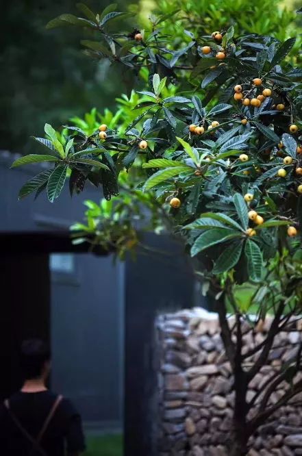 桐廬·水喜，太陽(yáng)東升西落便是一天的標(biāo)記