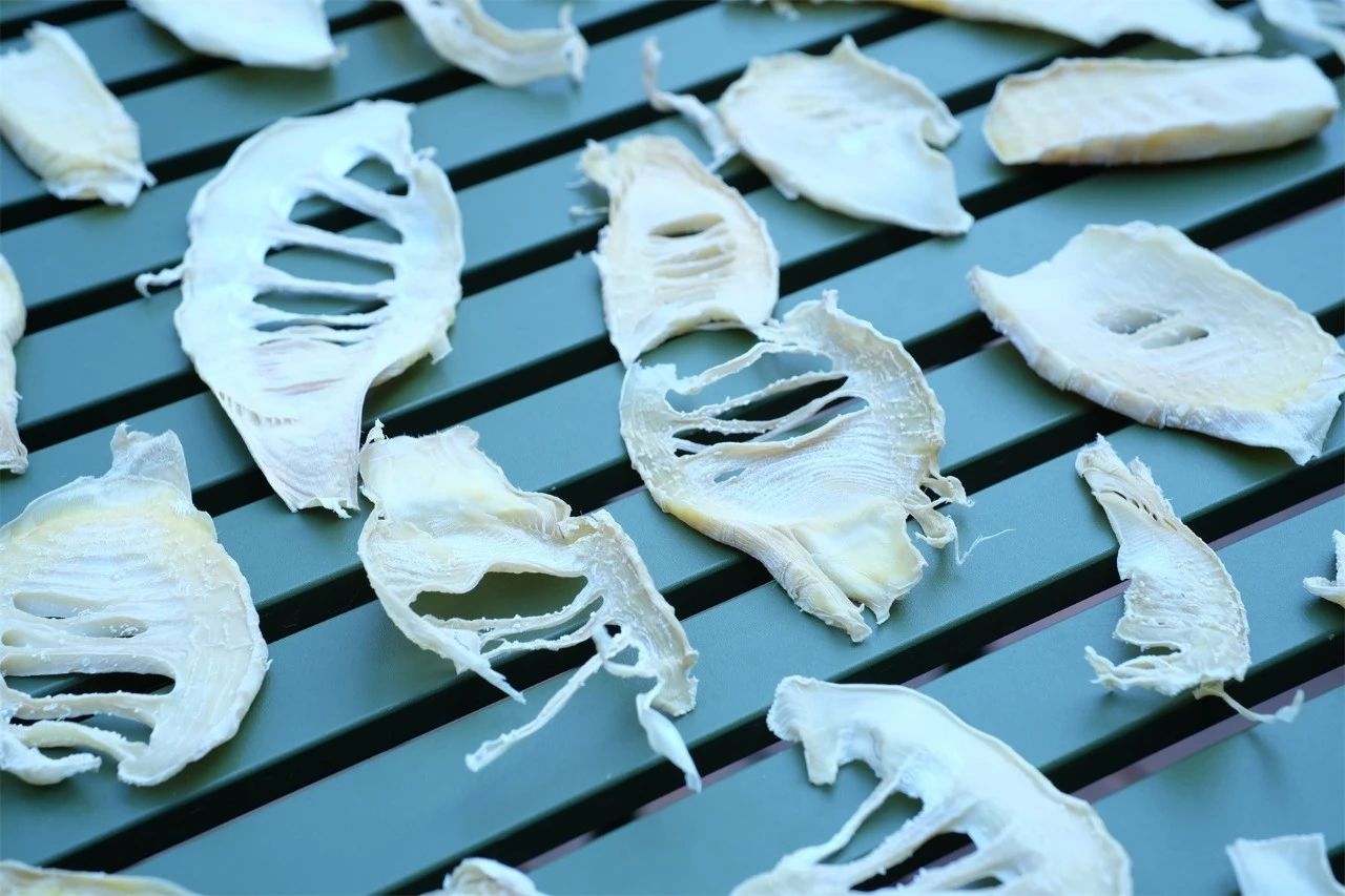 桐廬·水喜，太陽(yáng)東升西落便是一天的標(biāo)記