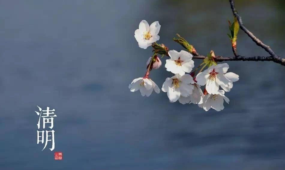 唯美古風(fēng)句子：清明古詩(shī)38首!