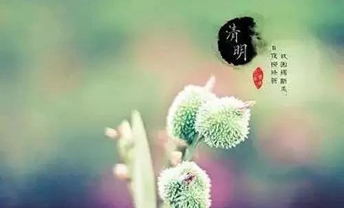 唯美古風(fēng)句子：清明古詩(shī)38首!