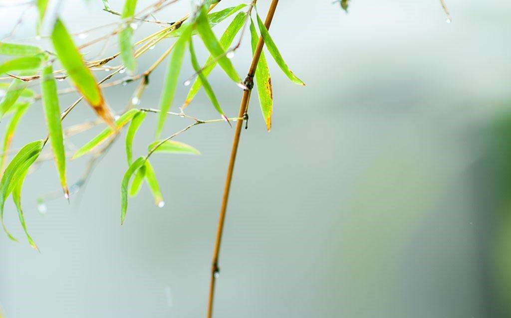 唯美古風(fēng)句子：清明古詩(shī)38首!