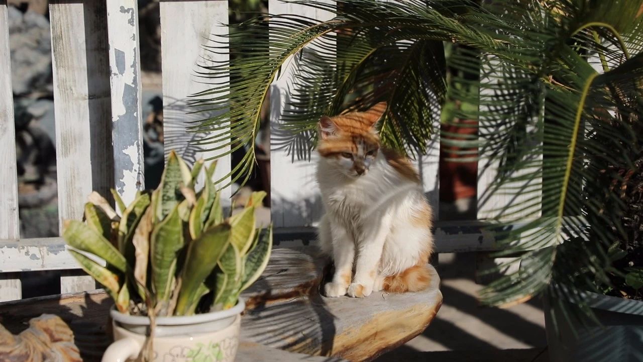 廈門·十二舍，解鎖十二的新含義