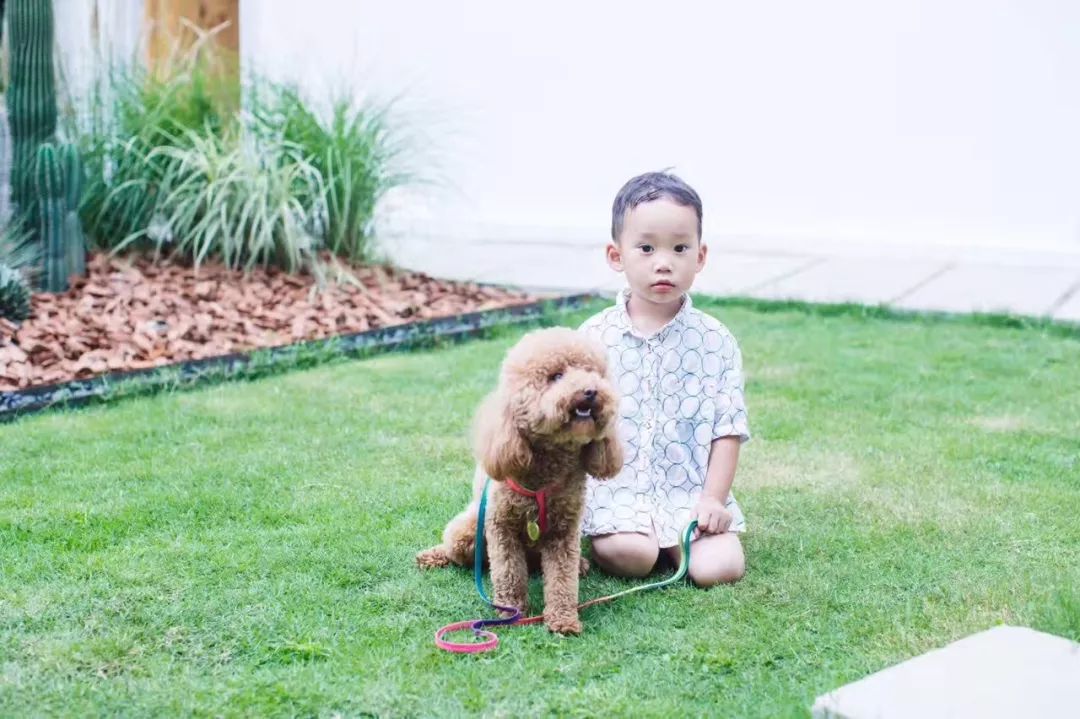 成都·親家Dear Home，生活平淡如水自在歡喜