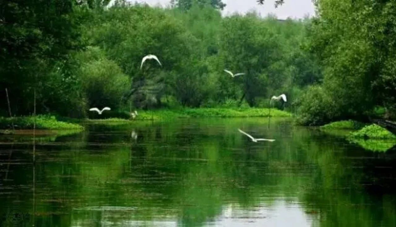 杭州西溪·素上藝術酒店，春天最美好的奇遇