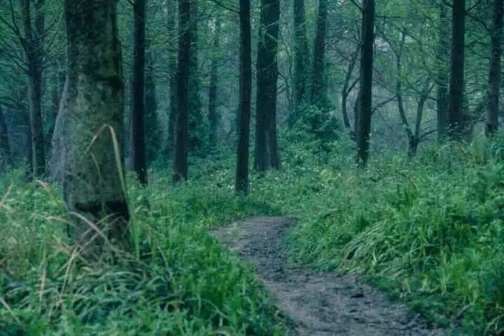 杭州西溪·素上藝術酒店，春天最美好的奇遇