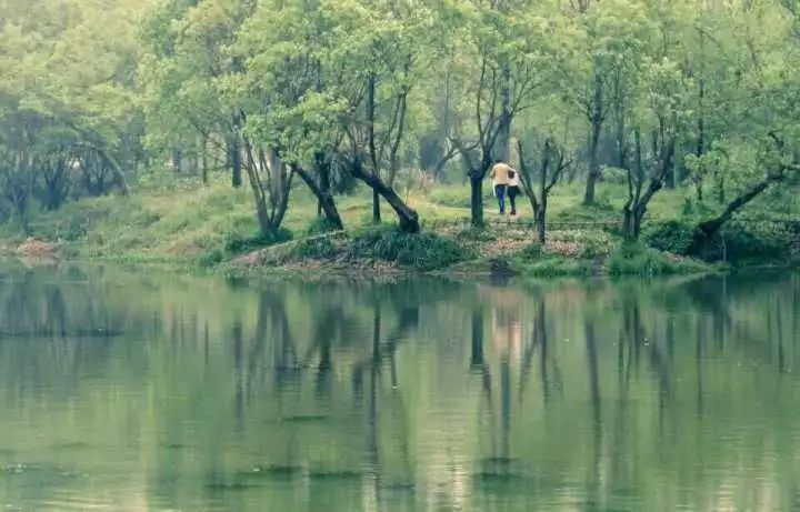 杭州西溪·素上藝術酒店，春天最美好的奇遇