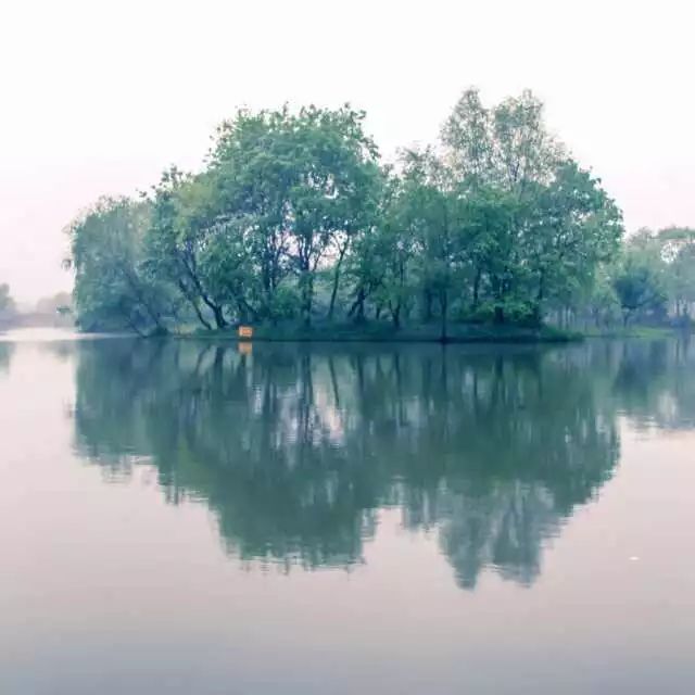 杭州西溪·素上藝術酒店，春天最美好的奇遇