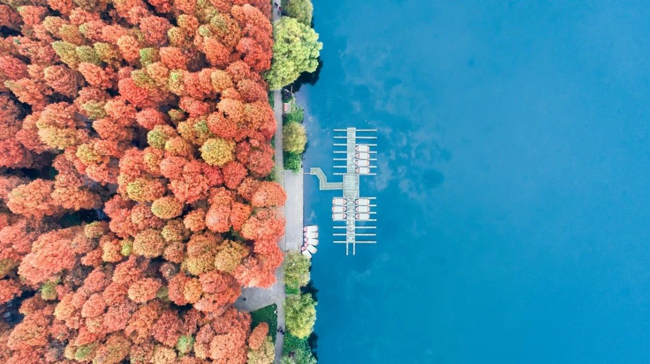 杭州西溪·素上藝術酒店，春天最美好的奇遇