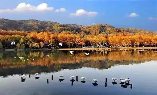 杭州西溪·素上藝術酒店，春天最美好的奇遇