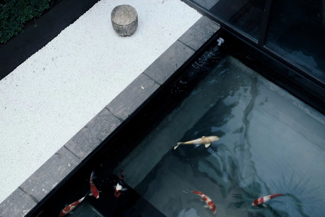 杭州西溪·素上藝術(shù)酒店，春天最美好的奇遇