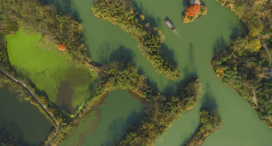 杭州西溪·素上藝術(shù)酒店，春天最美好的奇遇