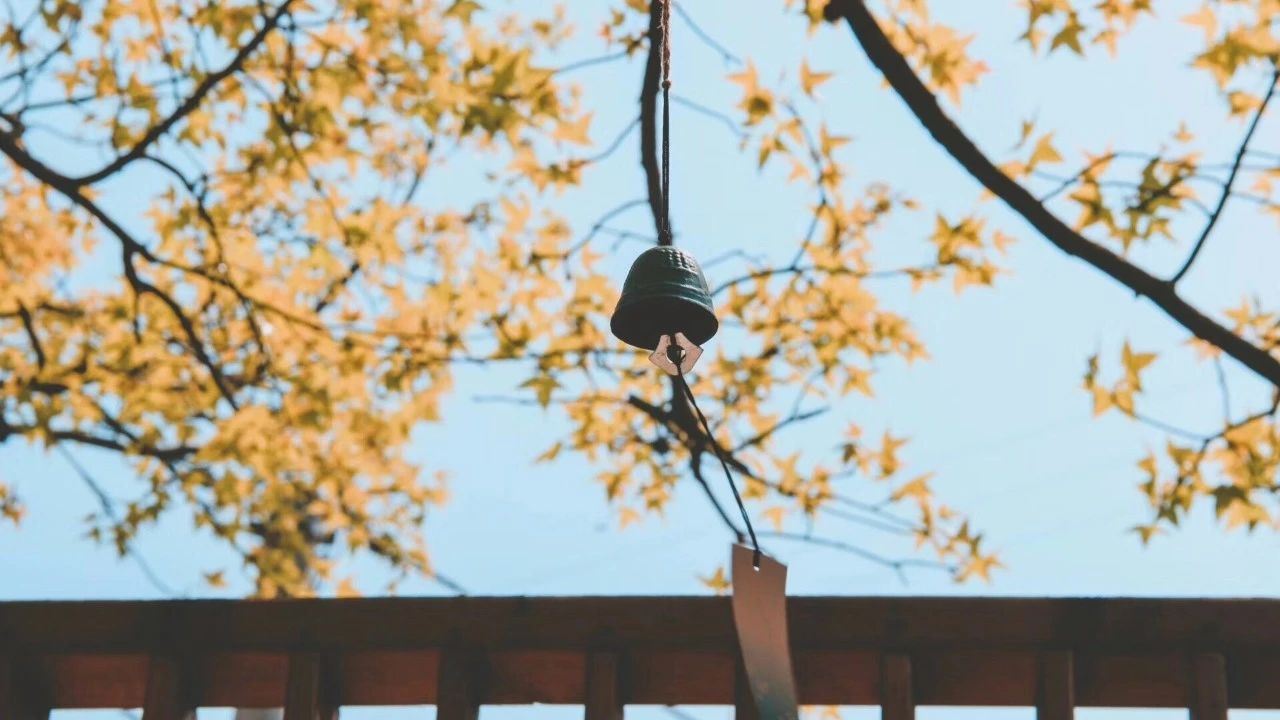 青田坐忘閣·藏書閣民宿，找回初心尋找回家的路