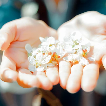 花開半夏女生頭像，唯美古風(fēng)真人頭像