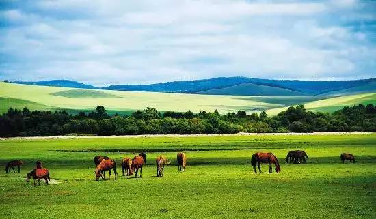如詩如畫的草原意境，唯美風(fēng)景圖片！