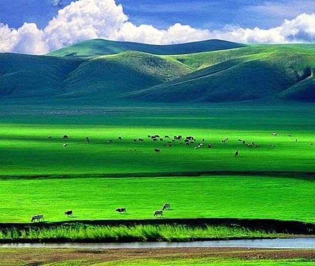 如詩如畫的草原意境，唯美風(fēng)景圖片！