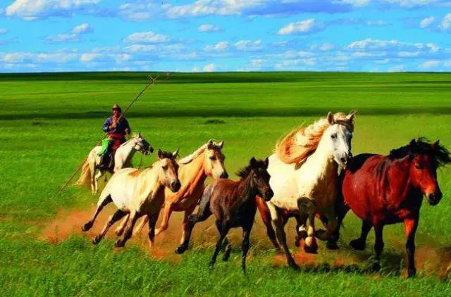 如詩如畫的草原意境，唯美風(fēng)景圖片！