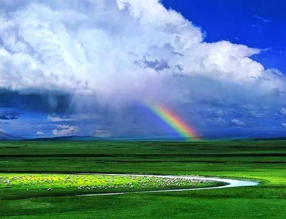 如詩如畫的草原意境，唯美風(fēng)景圖片！