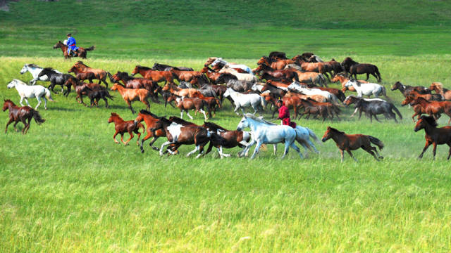 如詩如畫的草原意境，唯美風(fēng)景圖片！