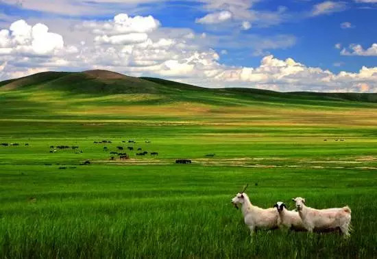 如詩(shī)如畫(huà)的草原意境，唯美風(fēng)景圖片！