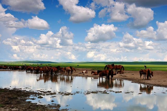 如詩如畫的草原意境，唯美風景圖片！