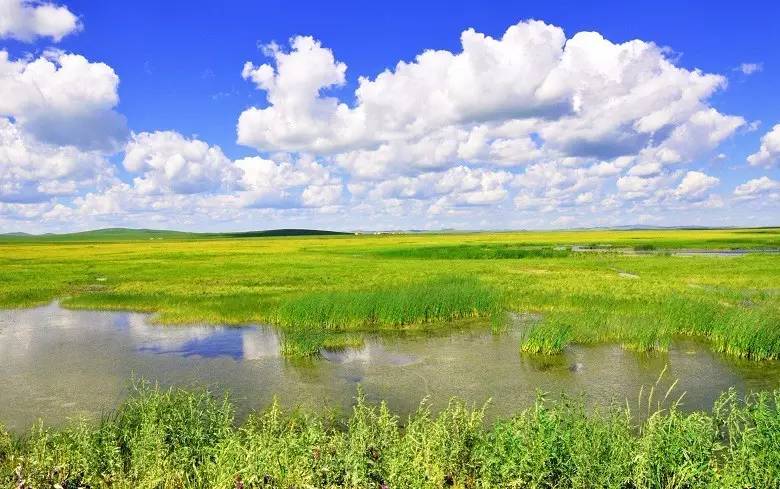 如詩(shī)如畫(huà)的草原意境，唯美風(fēng)景圖片！