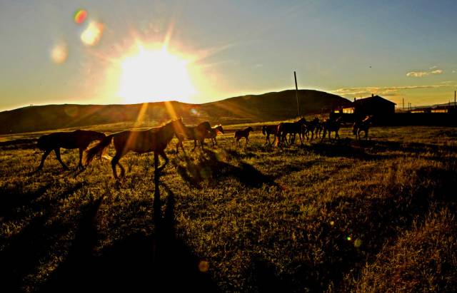 如詩如畫的草原意境，唯美風景圖片！