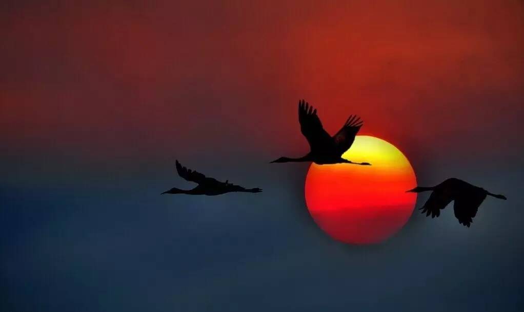 如詩如畫的草原意境，唯美風(fēng)景圖片！