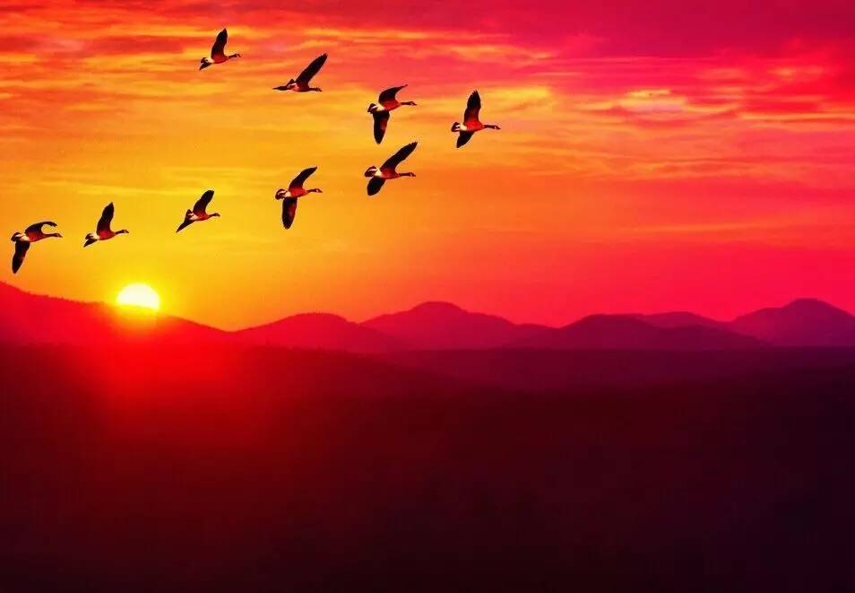 如詩如畫的草原意境，唯美風(fēng)景圖片！