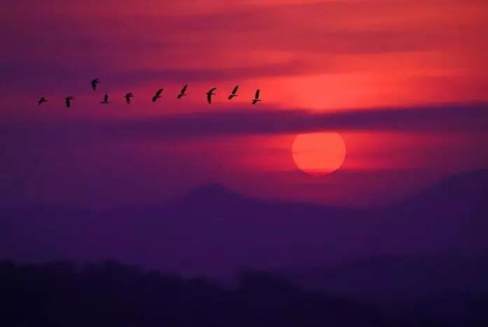 如詩如畫的草原意境，唯美風(fēng)景圖片！