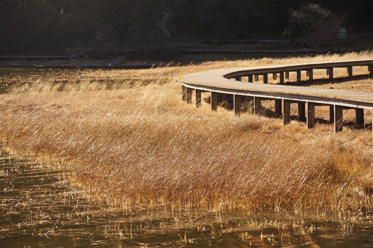 香格里拉·桔子水晶酒店，堅(jiān)持內(nèi)心最重要