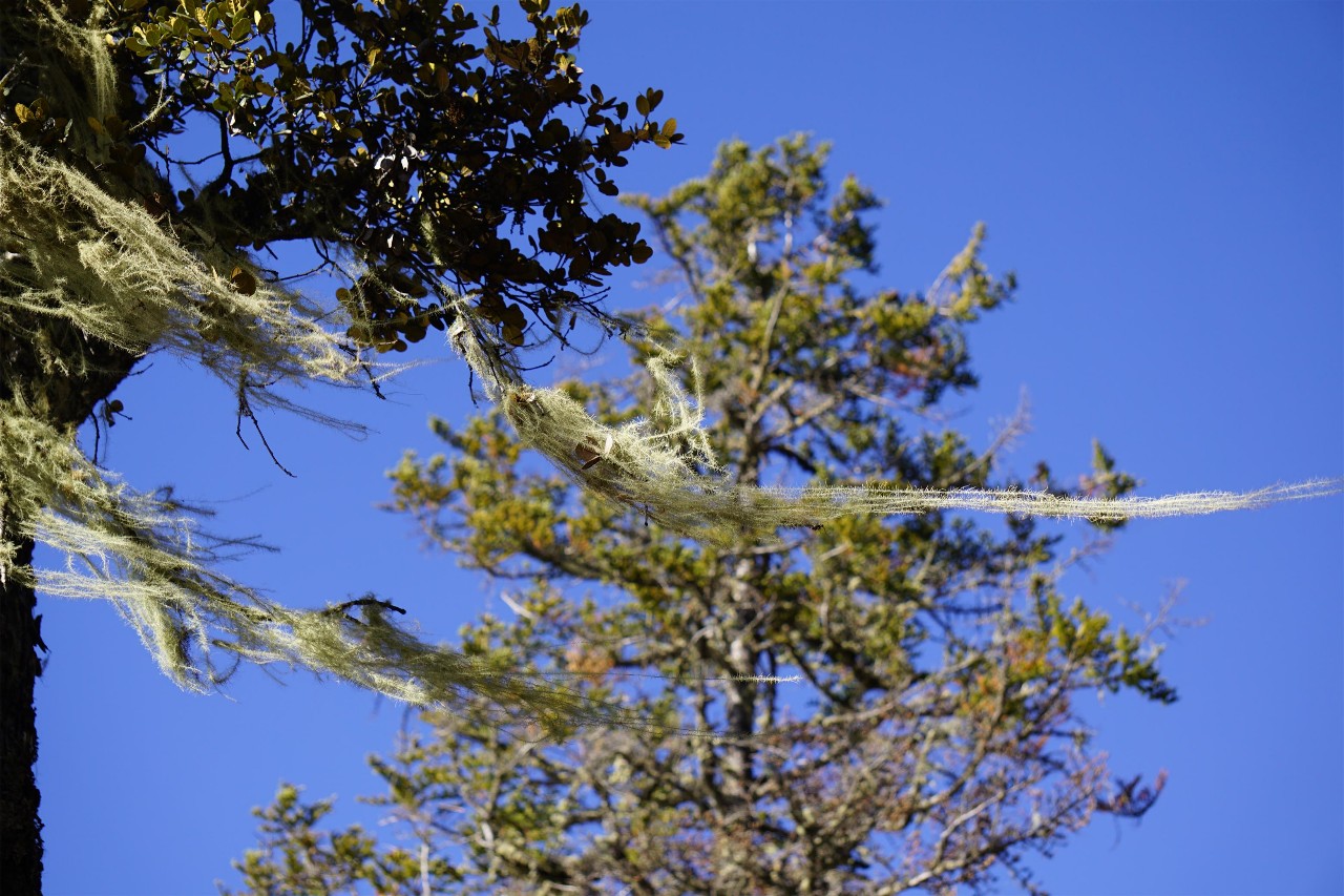 香格里拉·桔子水晶酒店，堅(jiān)持內(nèi)心最重要