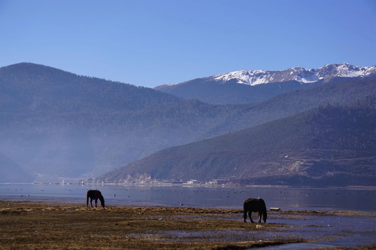 香格里拉·桔子水晶酒店，堅持內(nèi)心最重要