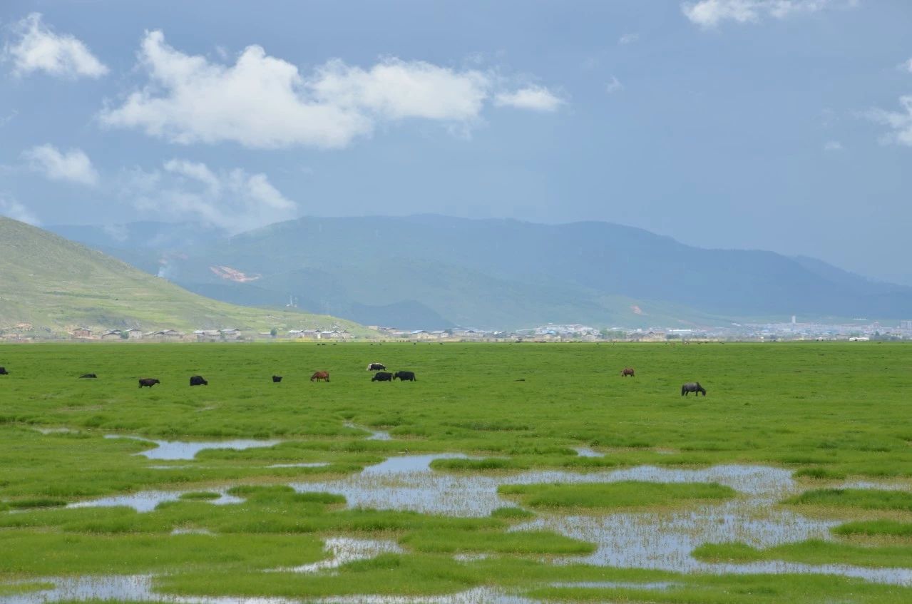 香格里拉·桔子水晶酒店，堅持內(nèi)心最重要