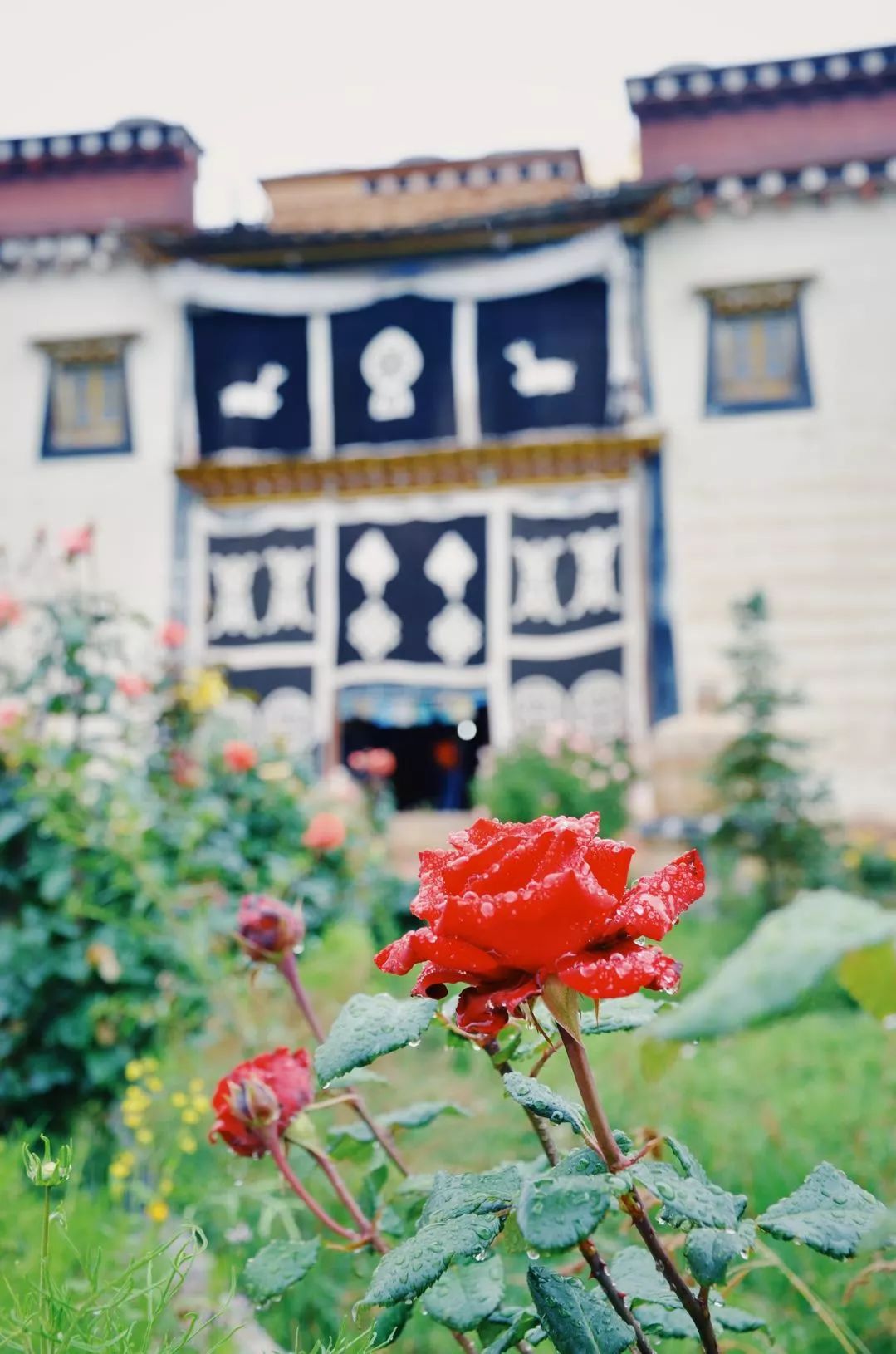 香格里拉·桔子水晶酒店，堅持內(nèi)心最重要