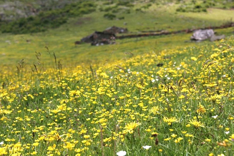 光和云朵·雪寶頂，喂馬劈柴看盡四季繁華