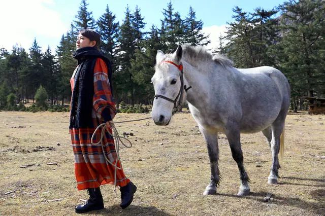 光和云朵·雪寶頂，喂馬劈柴看盡四季繁華