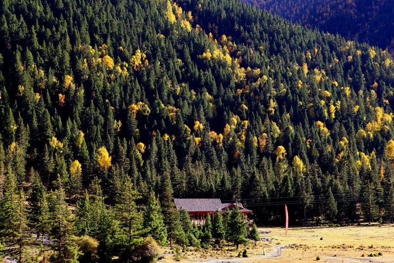 光和云朵·雪寶頂，喂馬劈柴看盡四季繁華