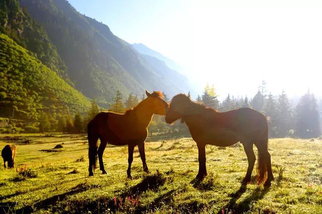 光和云朵·雪寶頂，喂馬劈柴看盡四季繁華