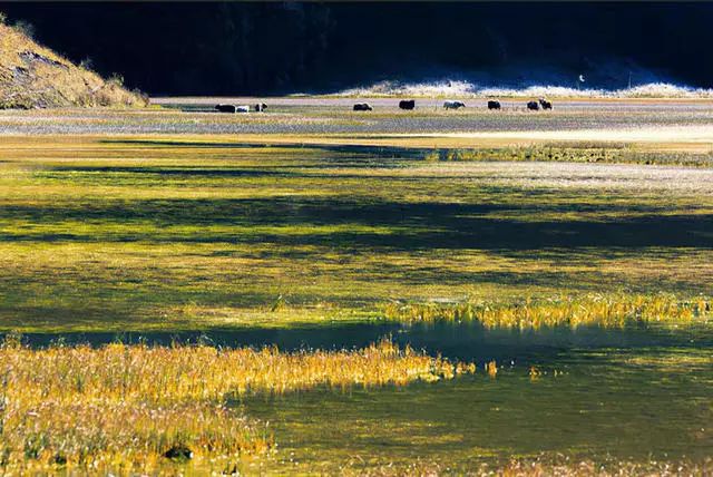 光和云朵·雪寶頂，喂馬劈柴看盡四季繁華