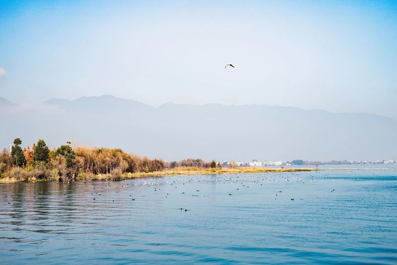 莫干山·梵谷，回歸自然的日子才是最難得