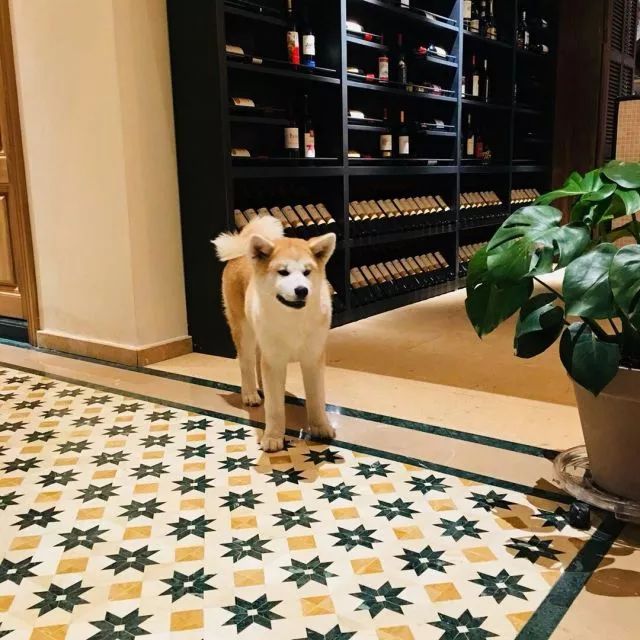 莫干山·梵谷，回歸自然的日子才是最難得