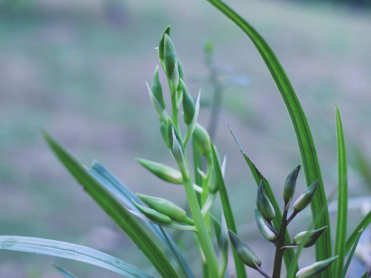 莫干山·梵谷，回歸自然的日子才是最難得