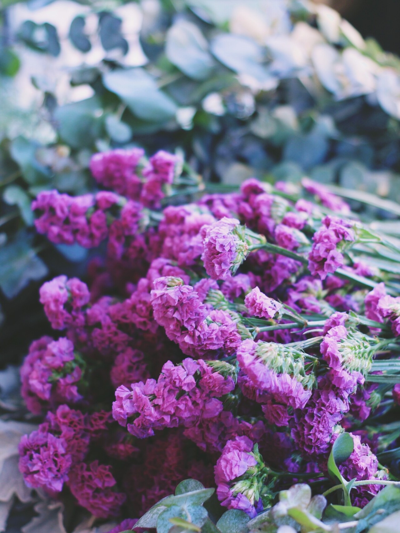 莫干山·梵谷，回歸自然的日子才是最難得