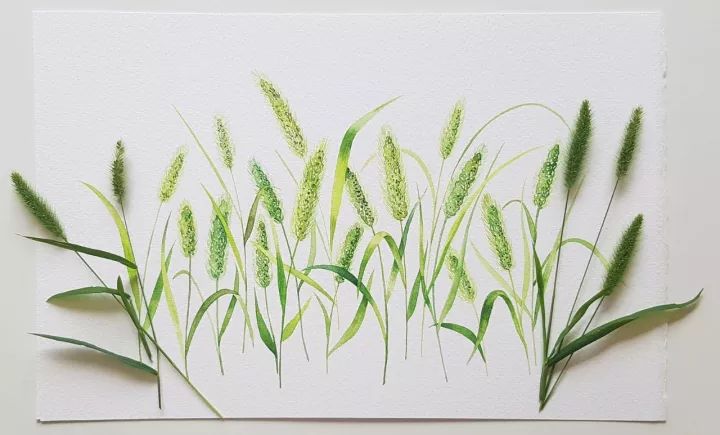 四季水彩花卉插畫，驚艷唯美!