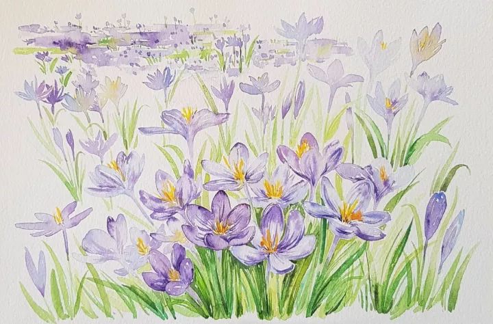 四季水彩花卉插畫，驚艷唯美!