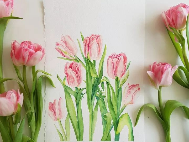 四季水彩花卉插畫，驚艷唯美!