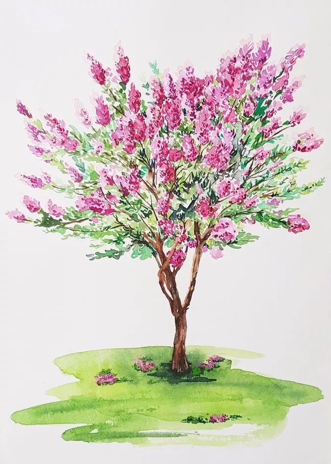 四季水彩花卉插畫(huà)，驚艷唯美!